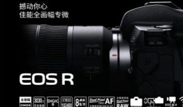 佳能R1的最新爆料,专业级无反相机即将登场，性能参数大揭秘！